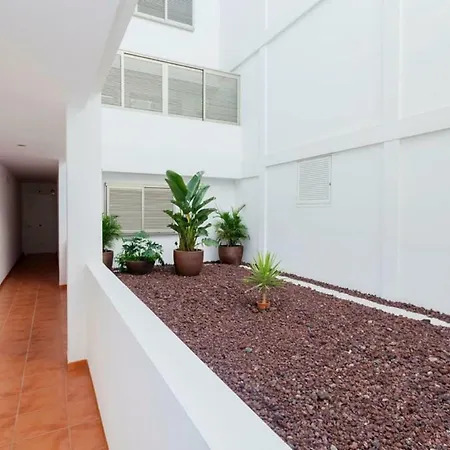 Apartamento Oh La Life! Magnolia Jose *